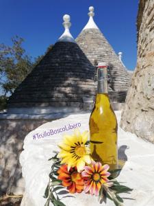 Trullo Bosco Libero Ostuni