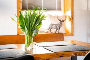 Neu Renoviertes Ferienhauswohnunng Kleine Auszeit