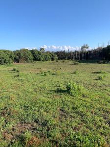 Finca Dos Vientos Tarifa