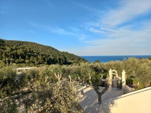 HMO Glamping & Suites in Vignanotica