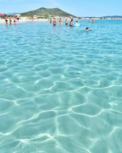 Stella marina 2 da Alessandro img3