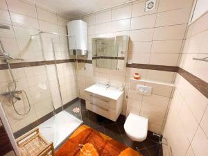 Apartments in Jadranovo 41872