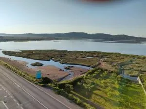 A Revolta Sanxenxo - Ardía