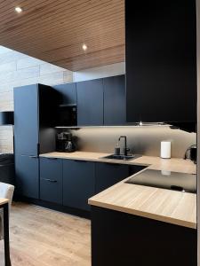 Levin Kunkku B penthouse