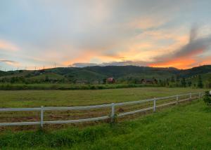 Likit Kirin Khao Kho