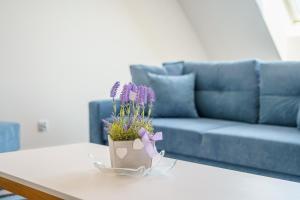 Rent like home Bel Mare 426D