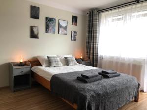 Apartamenty Przy Strumyku Szczawnica