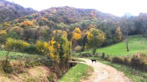 Sejours a la campagne Gite La Source : photos des chambres