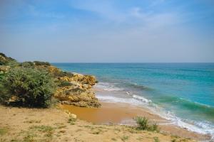 Shiny Central Flat - Pool