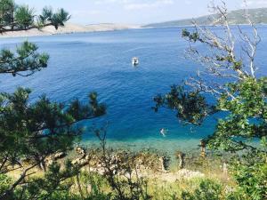 Apartment in Jadranovo 41868