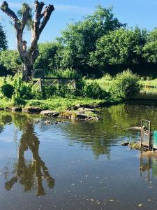 Le refuge des canards