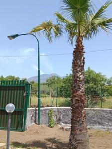 Risveglio sullEtna