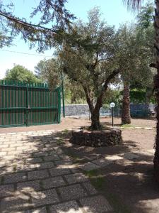 Risveglio sullEtna