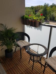 Apartament Kwiat Lotosu