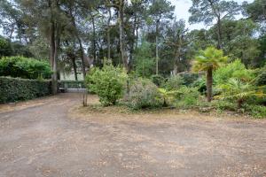 Maisons de vacances Maison familiale dans les pins a 300 m de la Plage : photos des chambres