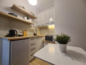 Apartment in the heart of the city 5A