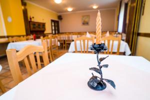 Hotel Vincentinum Novigrad na Dobri