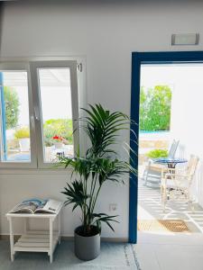 Villa with Private Pool room in Portobello Boutique Hotel