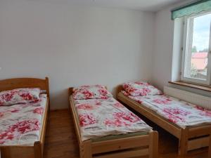 Owocowe Wakacje - Apartament nad jeziorem