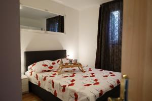 Apartment Oasis with free parking on premises