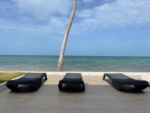 Flamingo by Andiani Travel