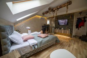 Rustic Luxury Apartment - Valjevo centre BID Zone