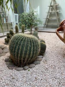 La Casa di Flò Luxury Rooms