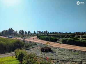 HOP BUZIOS exclusiva oasis y playa en Chincha