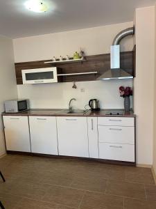 Rich-3 SP apartments