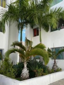 Comodas 3 Habitaciones, Wifi 1er piso