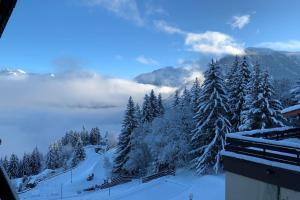 Appartements Les Brigues Courchevel 1550 : photos des chambres