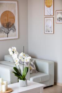 Plaka Modern Apartment