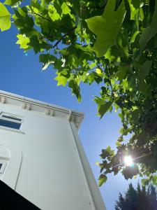 TorquayTownhouse with Hot Tub 200m from Beach - Free WiFi Sky Glass