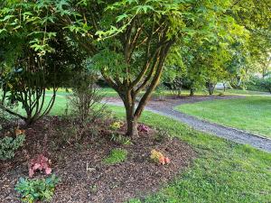 Maisons de vacances Gite cosy sur jardin : photos des chambres