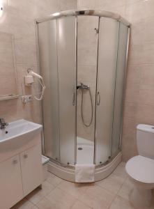 Double Room room in Sandomiria