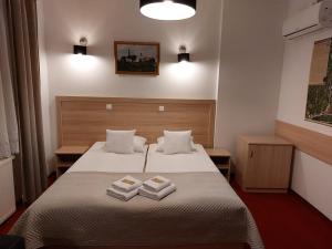 Large Double or Twin Room room in Sandomiria