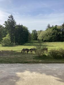 B&B / Chambres d'hotes Chateau Tout Y Fault : photos des chambres