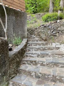 Maisons de vacances Le Gite du Truel : photos des chambres