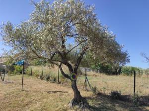 Location villa saisonniere a la campagne