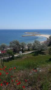 Casa Andreea