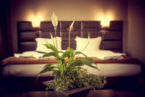 Deluxe Double Room (2 Adults) room in Zdravets SPA Hotel