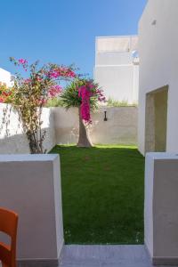 La Farfalla img20