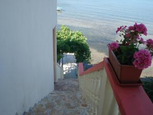 Apartmani Mirko LJubač