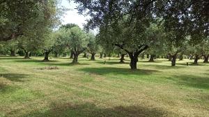 Nafpaktos cottage by the sea for travelers and dreamers!