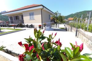 Il Violino degli Dei Holiday House