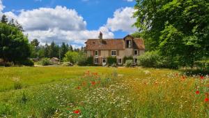 B&B / Chambres d'hotes Chambres d'hotes Le Moulin de Crouy : photos des chambres