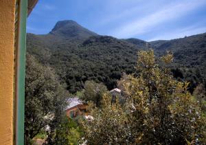 Appartements Les Gites du Cap Corse : photos des chambres