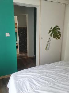 Bienvenue chez les choups le cocoon