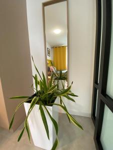 Apartament AMARILLO