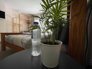 Dolwen Snowdonia Home by PolkaStays